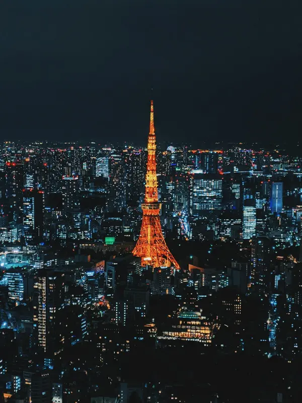 Blake.Tokyo Premium Domain